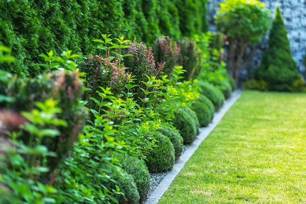 Ecoyard-project-details (5)