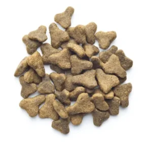 Tasty Treats for Dogs