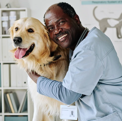 Furora - Pet Care Service Elementor Pro WordPress Full Website Template Kit