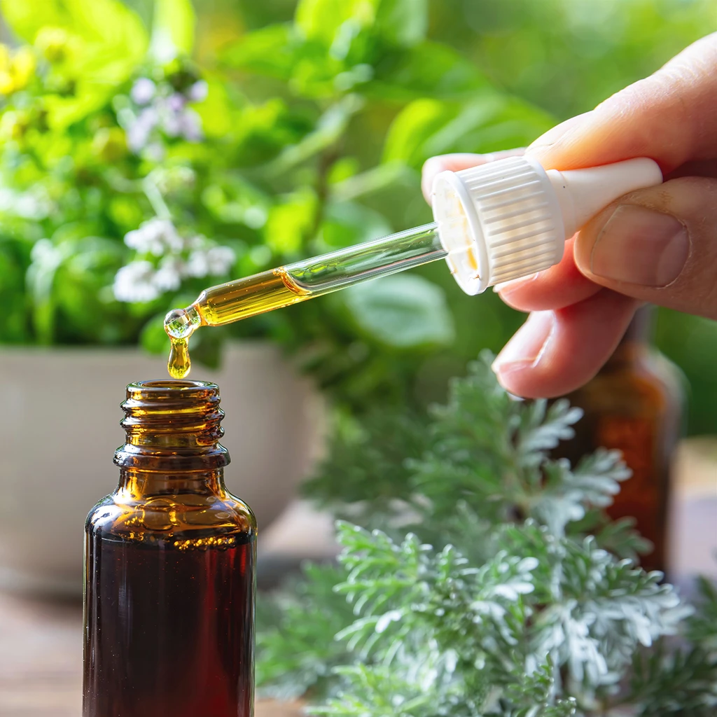 Holisticare-gallery-image (1)