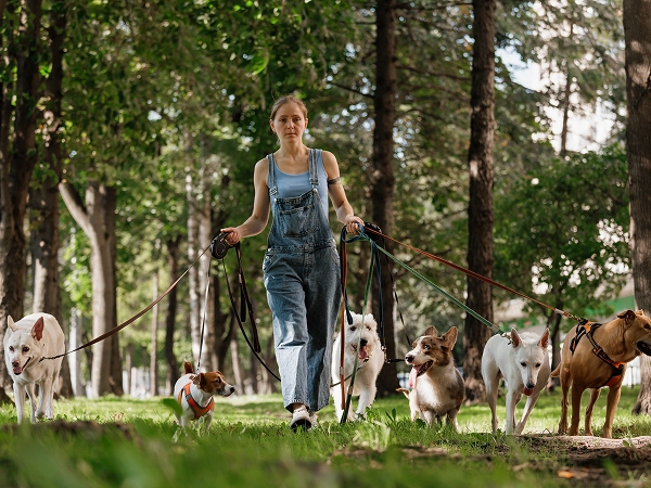 About slider banner-3